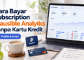 Cara Bayar Subscription Plausible Analytics Tanpa Kartu Kredit