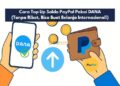 Cara Top Up Saldo PayPal Pakai DANA