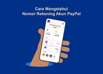 Cara Mengetahui Nomor Rekening Akun PayPal Untuk Menerima Uang